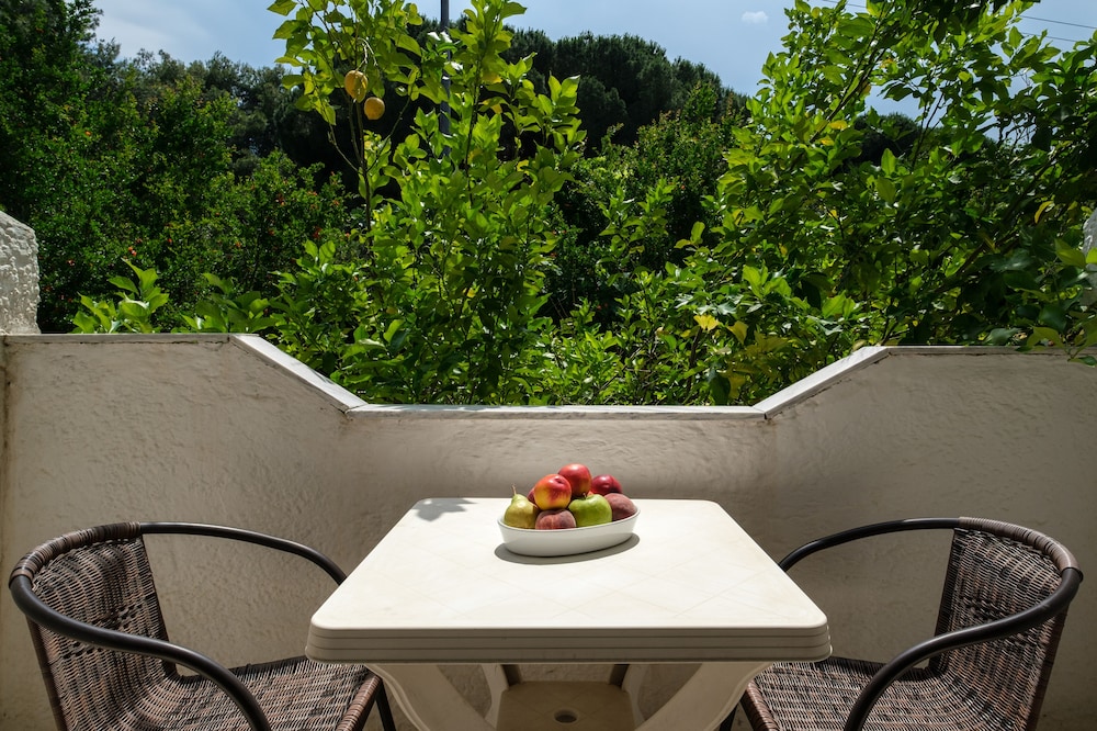Standard Double or Twin Room, Garden View photo 2
