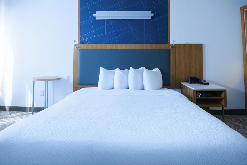 Suite, 1 King Bed with Sofa bed