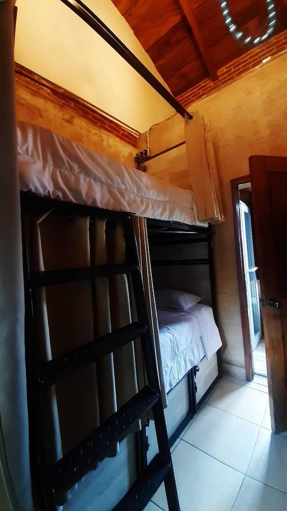 Standard Shared Dormitory photo 2