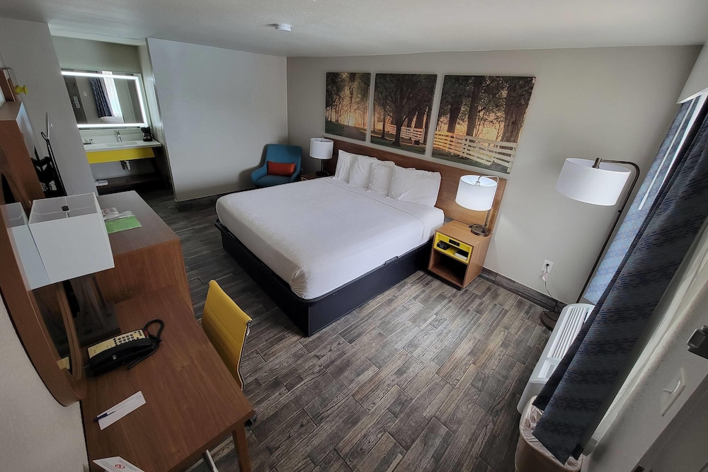 Room, 1 King Bed, Mobility Accessible, Non Smoking (Bathtub W/grab Bars)