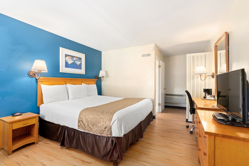 Room, 1 King Bed, Poolside, Pet Friendly photo 2