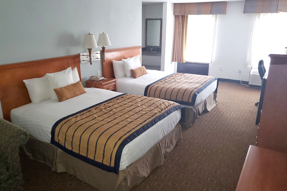 Luxury Studio Suite, 2 Queen Beds, Non Smoking - Photo 3