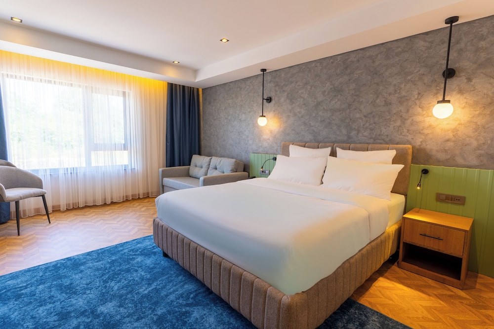 Deluxe Double or Twin Room photo 1