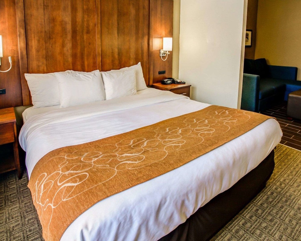 Suite, 1 King Bed, Non Smoking