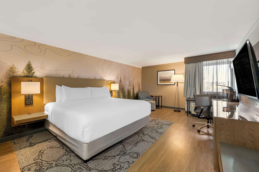 Standard Room, 1 King Bed, Accessible, Refrigerator & Microwave photo 3