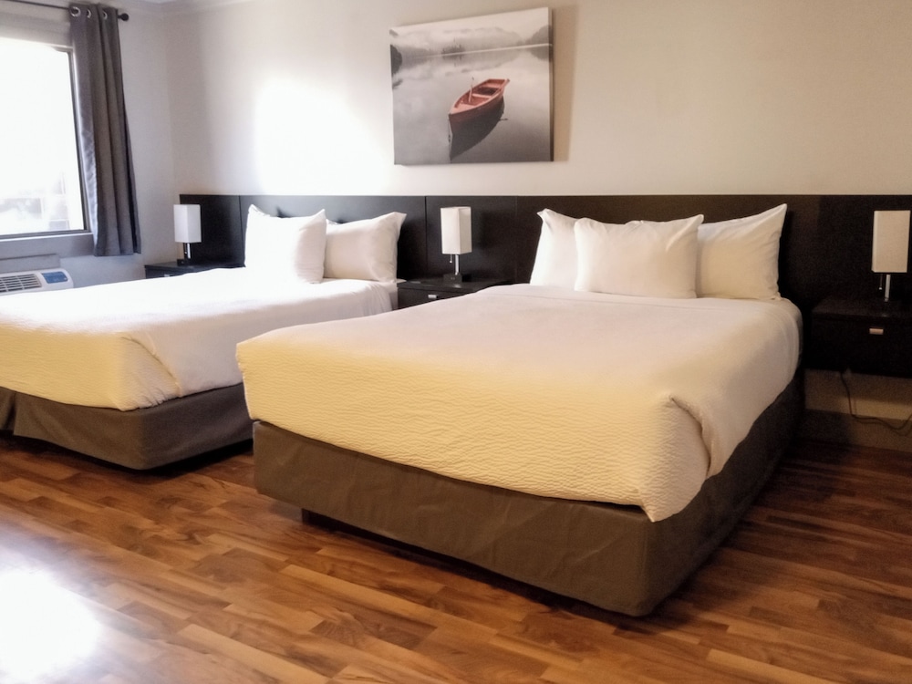 Deluxe Studio Suite