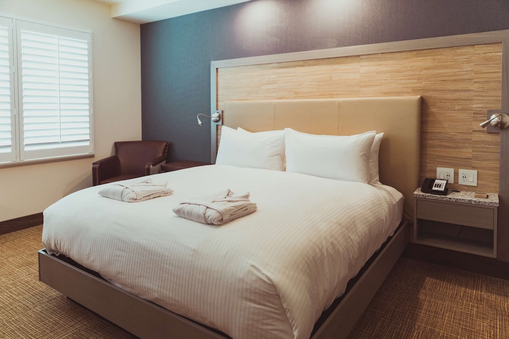 Suite, 1 King Bed, Accessible (Tailwater, Roll-in Shower) photo 2