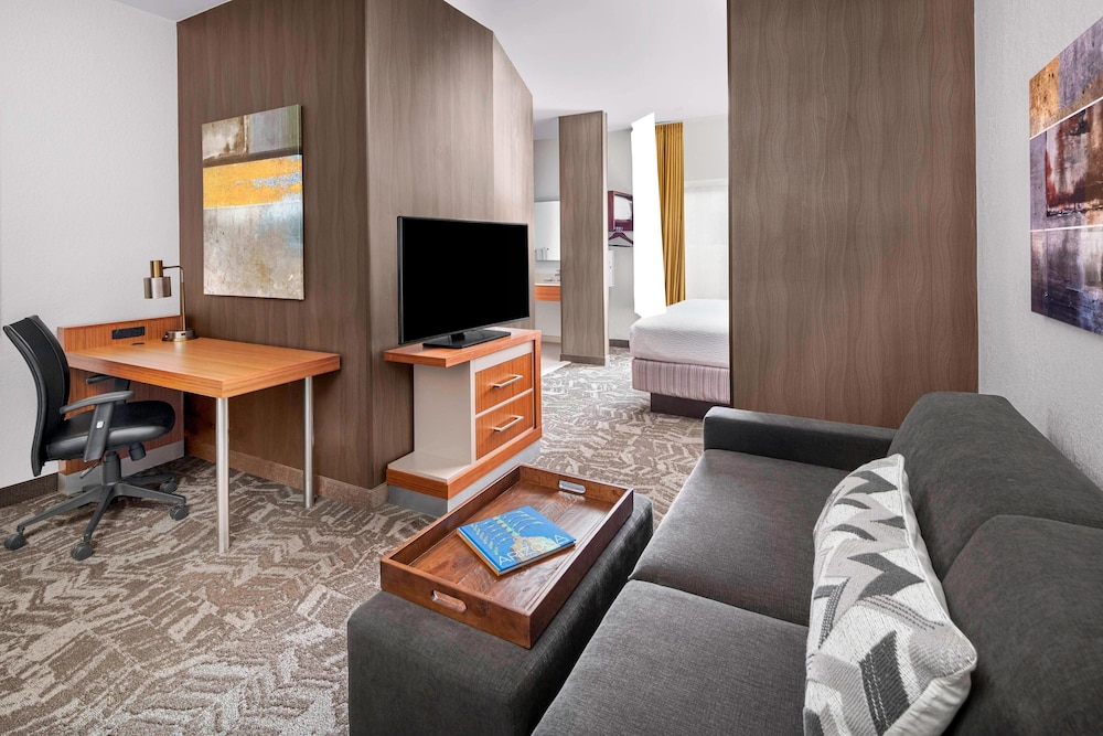 Suite, 1 King Bed with Sofa bed, Mountain View photo 1