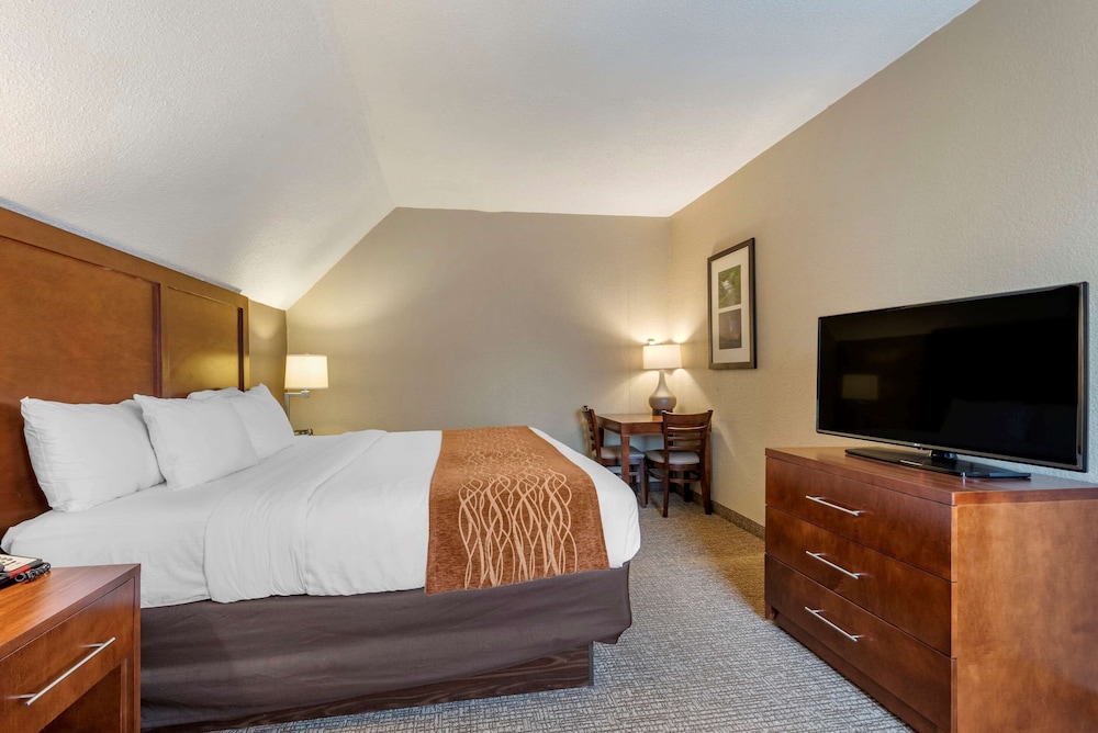 1 King Bed, 2 room suite, Jetted Tub photo 3