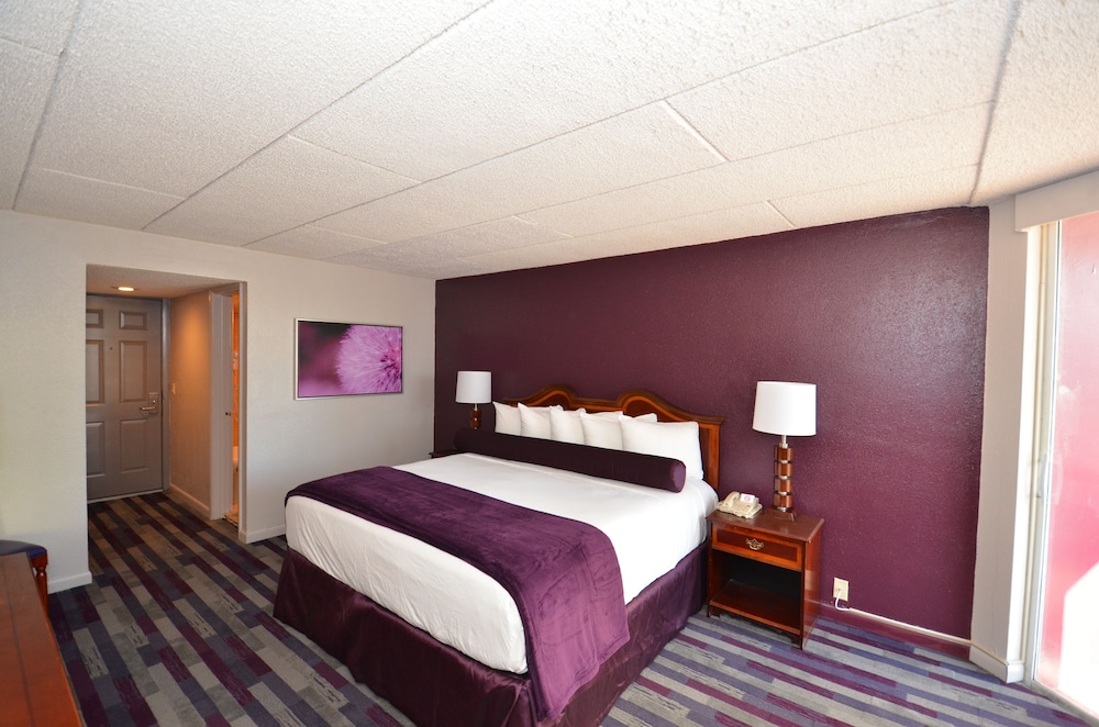 Suite, 1 King Bed - Photo 2