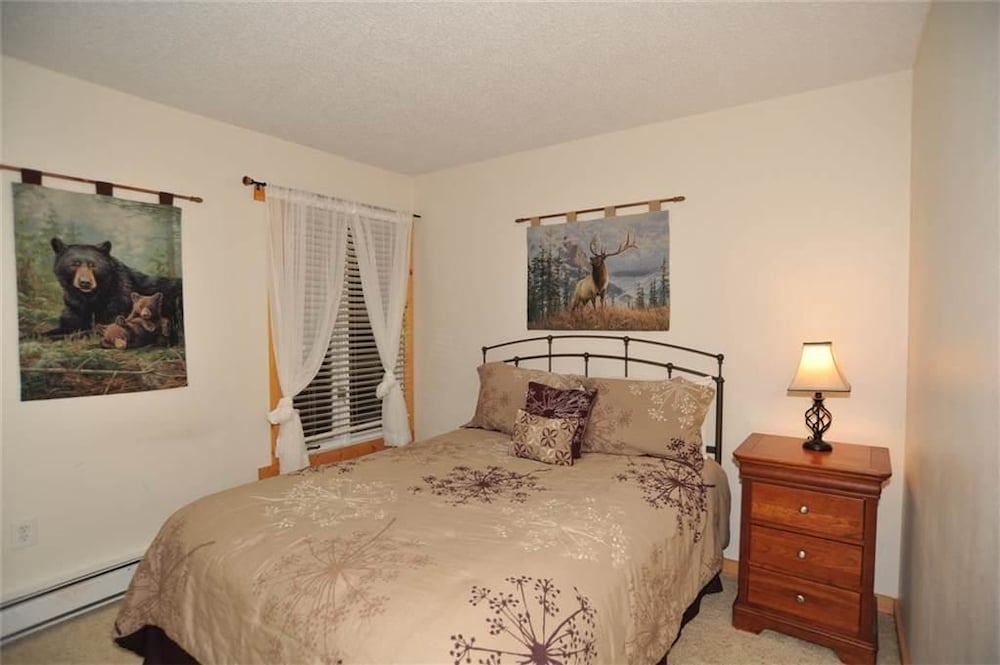 Standard Condo, 1 Bedroom, Fireplace, Lake View photo 1