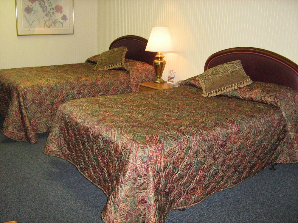 Jacuzzi Suite photo 3