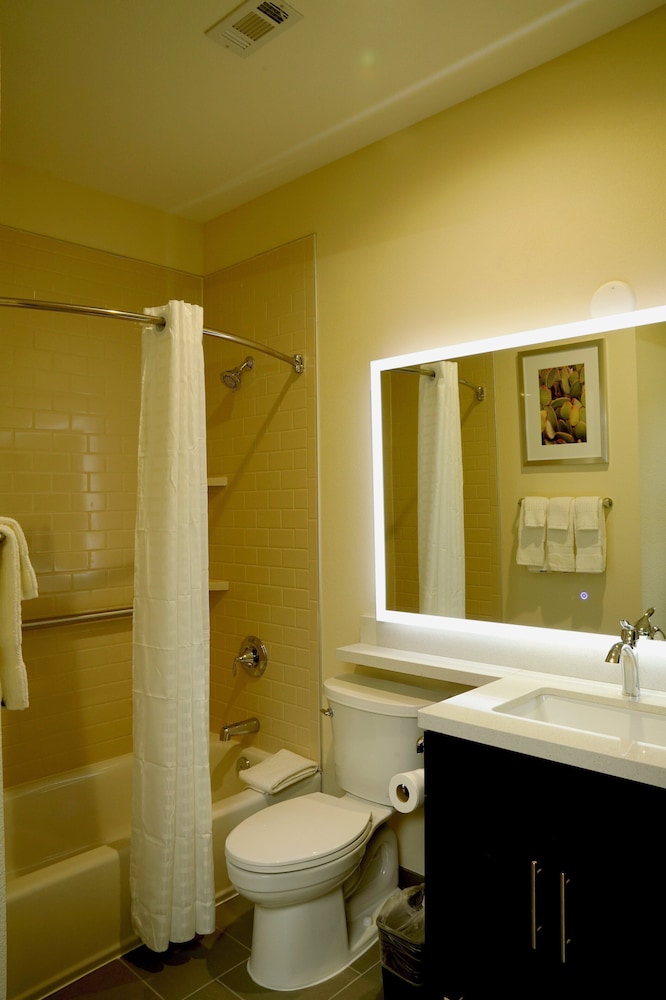 Studio Suite, 1 Queen Bed - Photo 5