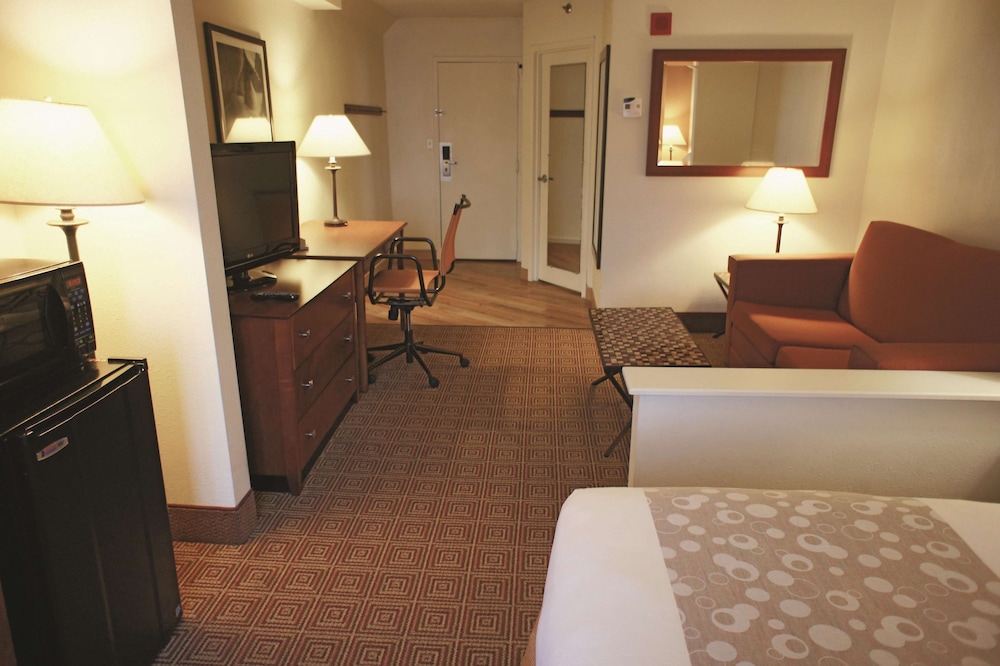 Suite, 1 Queen Bed photo 3
