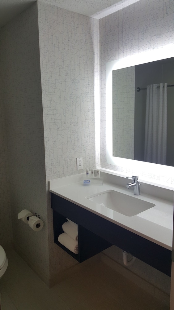 Standard Room, 1 King Bed, Roll-in Shower (Communications Accessible) - Photo 7