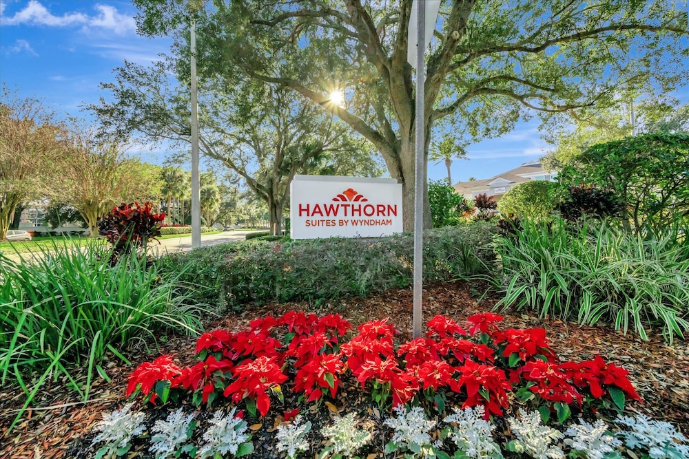 Free Shuttle 50 Disney Gift Card Resort Condo, Billede 18