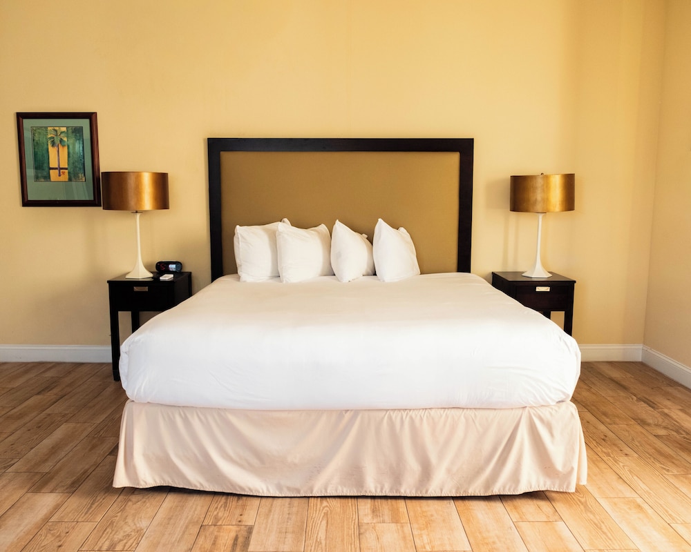 Room, 1 King Bed, Non Smoking, Lake View photo 3