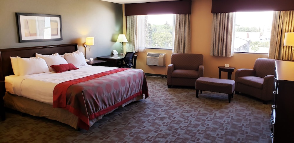 Studio Suite, 1 King Bed, Non Smoking photo 3