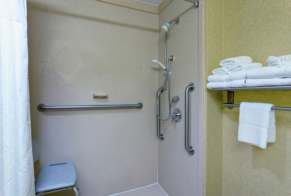 Room, 1 King Bed, Accessible, Non Smoking (Mobility & Hearing, Roll-in Shower) - Photo 3