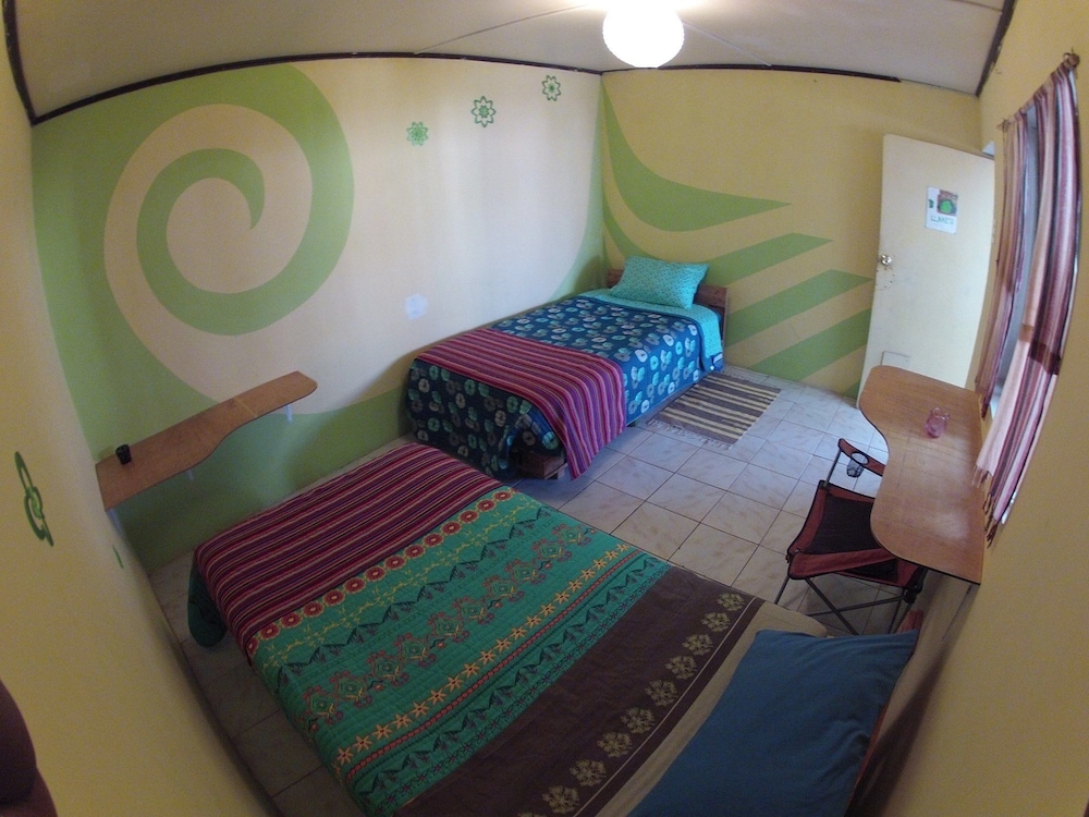 Double Room, Multiple Beds photo 1