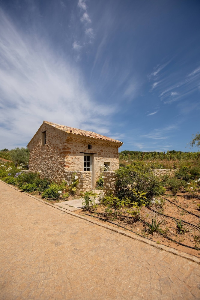 The little house in the vineyard
