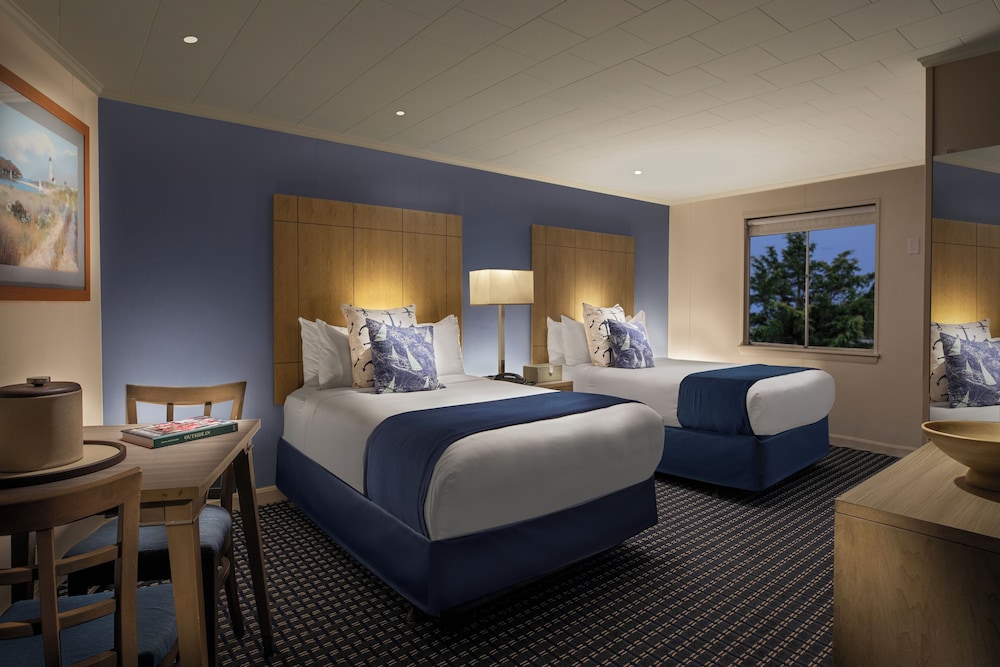 Standard Double Room - Photo 1