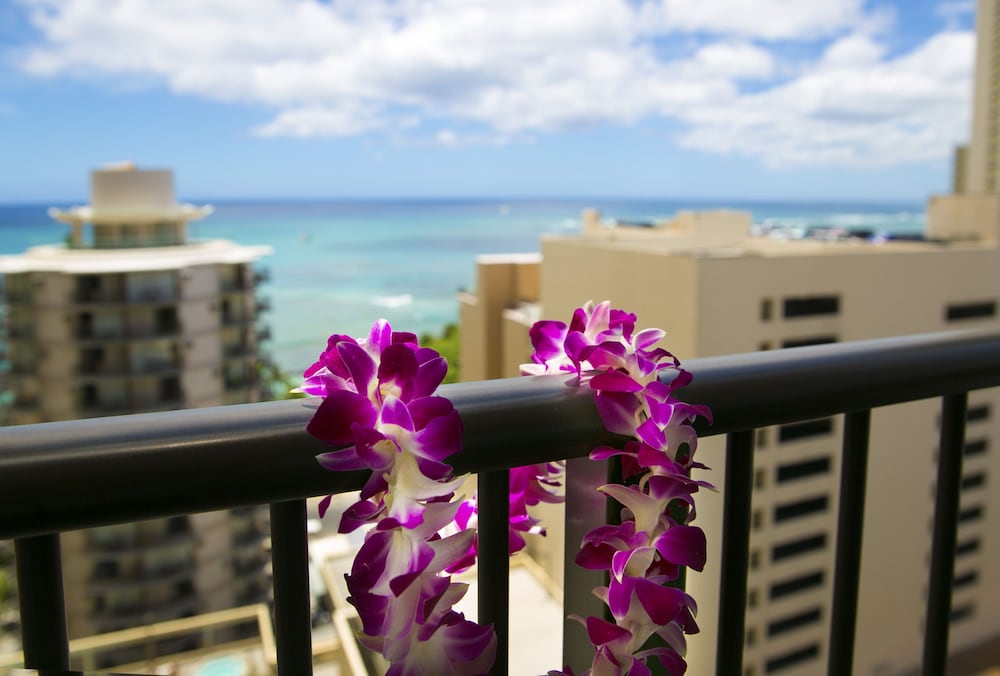 Signature Room, Partial Ocean View