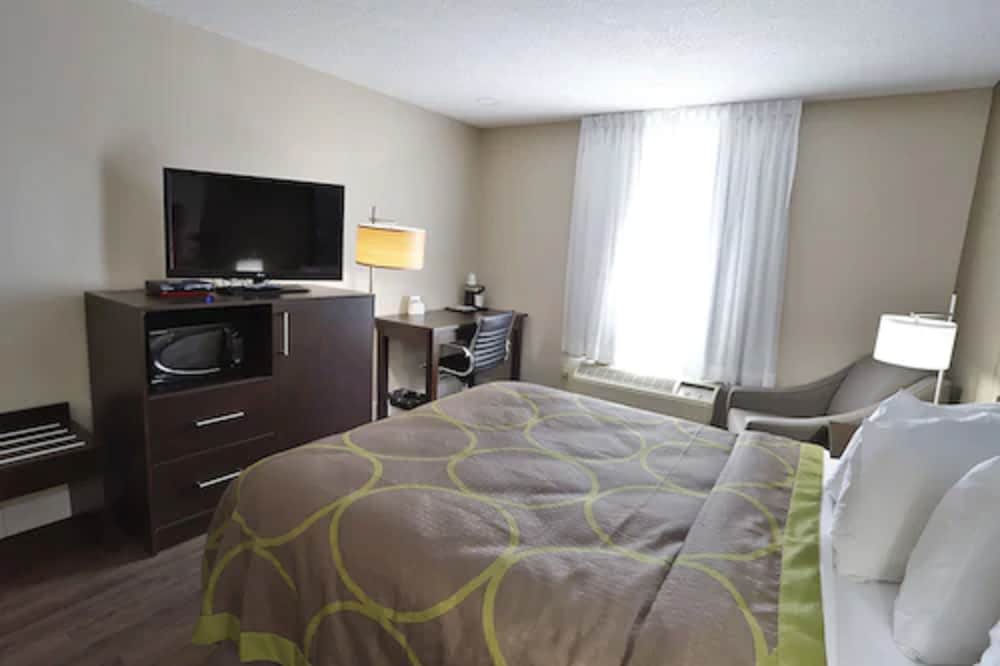 Room, 1 King Bed, Non Smoking - Photo 3
