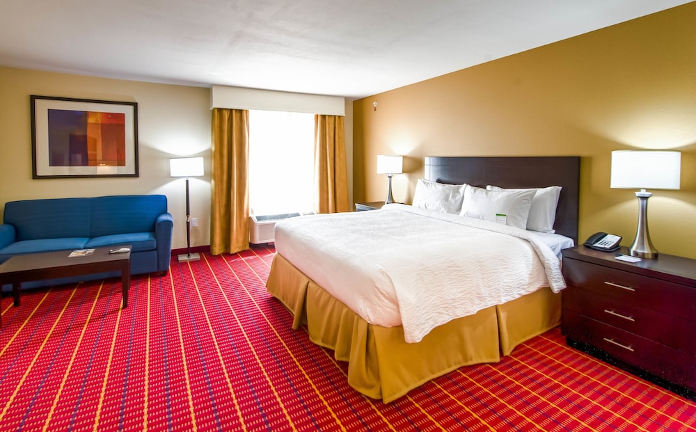 Studio Suite, 1 King Bed with Sofa bed