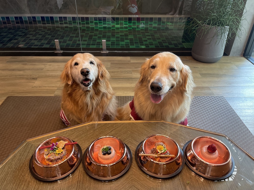 Pet-Friendly Pool Villa Family - Photo 12