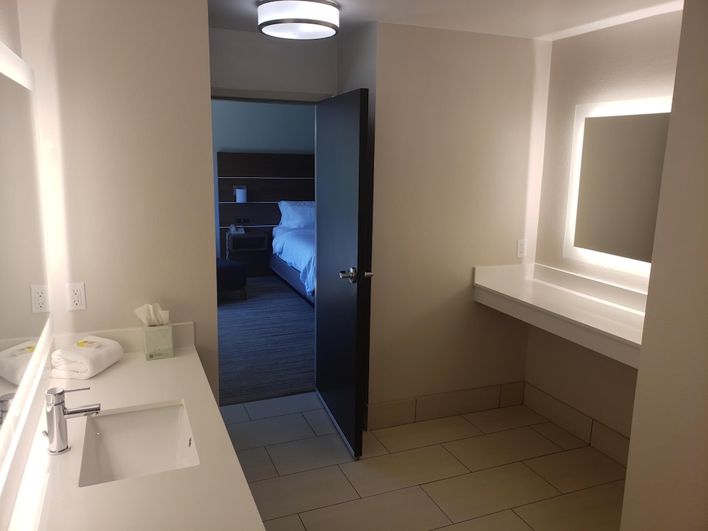 Suite, 1 King Bed with Sofa bed (Walk-In Shower) - Photo 18
