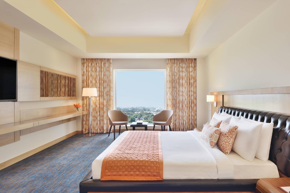 Presidential Suite, 1 King Bed photo 2