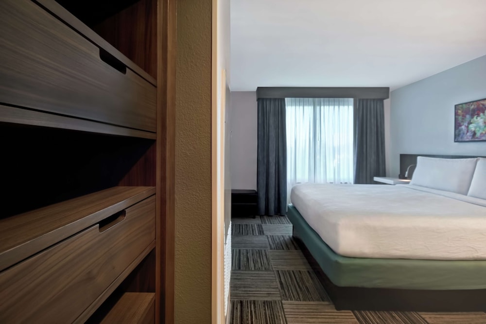 Hilton Garden Inn Houston/Galleria Area, Foto 4