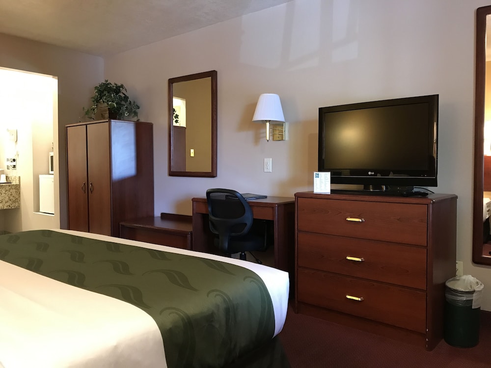Standard Room, 1 King Bed, Non Smoking (Pet Friendly)