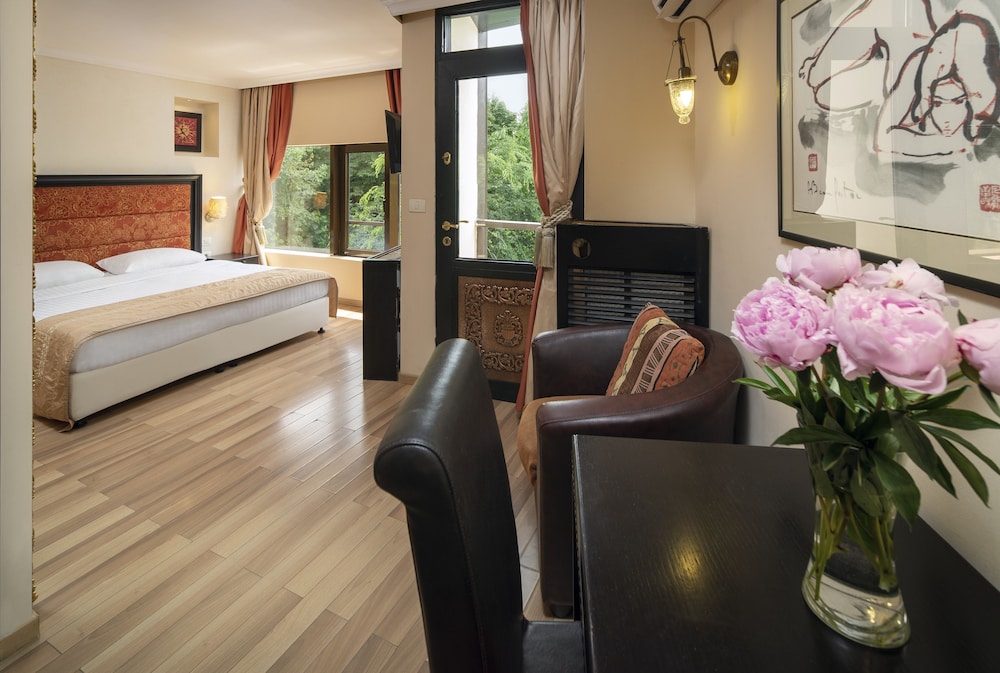 Deluxe Room - Photo 2