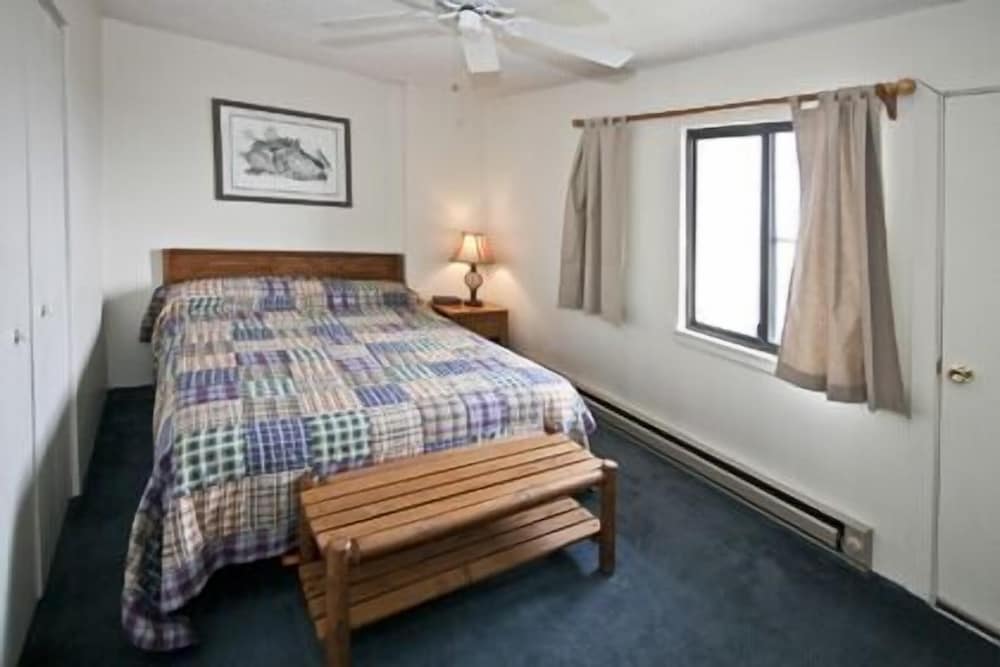 Classic Condo, 1 Bedroom photo 2