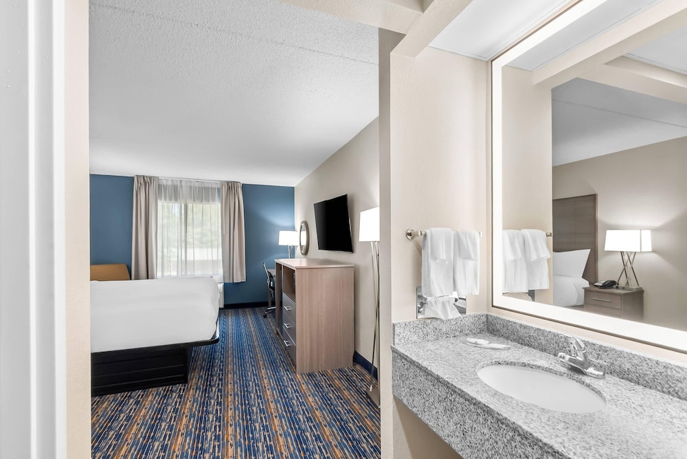 Room, 1 King Bed, Non Smoking