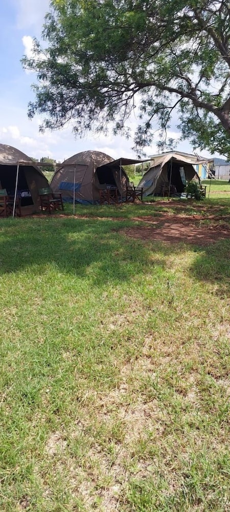 Standard Tent