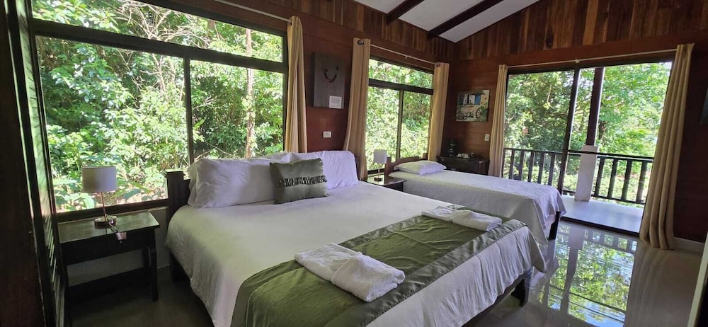 Standard Room, 1 Bedroom, Mountain View photo 1