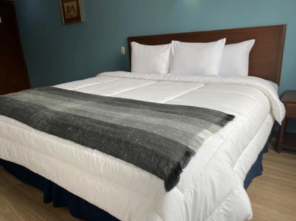 Double or Twin Room photo 2