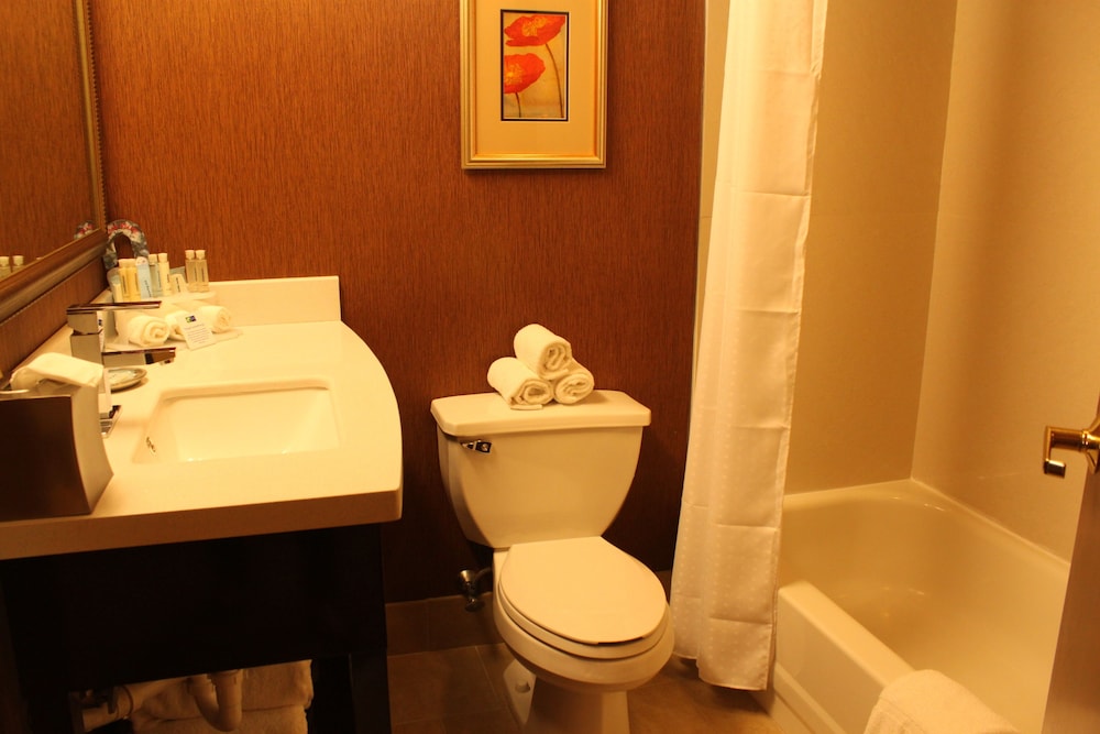 Suite, 1 King Bed - Photo 9