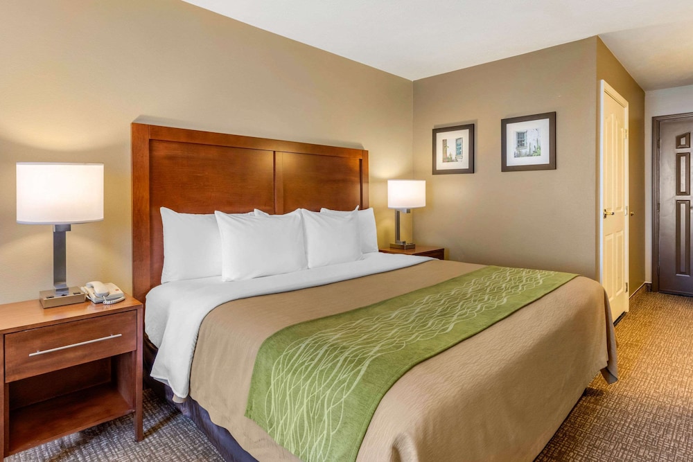 Standard Room, 1 King Bed, Non Smoking - Photo 1