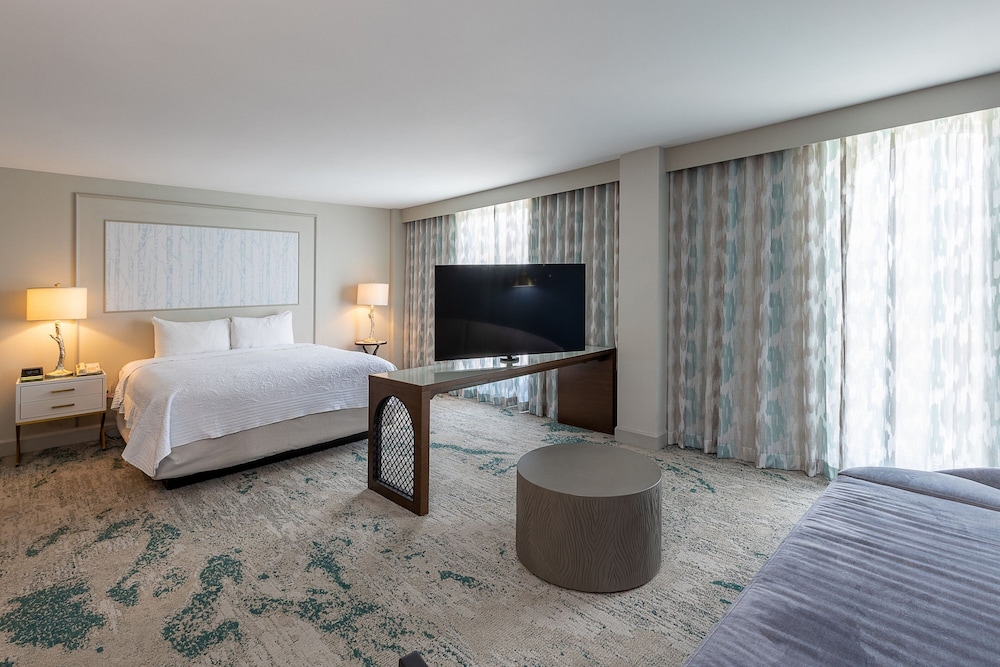 Executive Studio, 1 King Bed with Sofa bed
