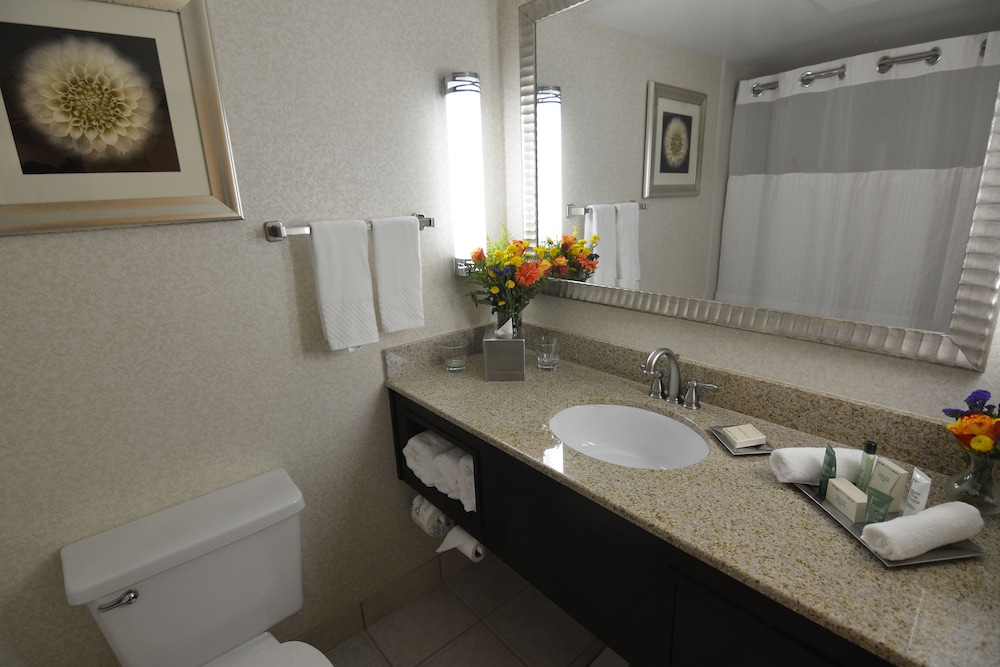 Room, 1 King Bed, Accessible (Mobility & Hearing, Roll-in Shower) - Photo 7