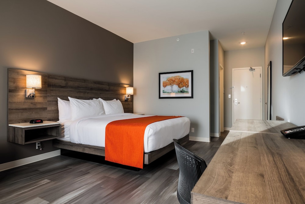 Standard Room, 1 King Bed, Non Smoking (Pet-Friendly) photo 1