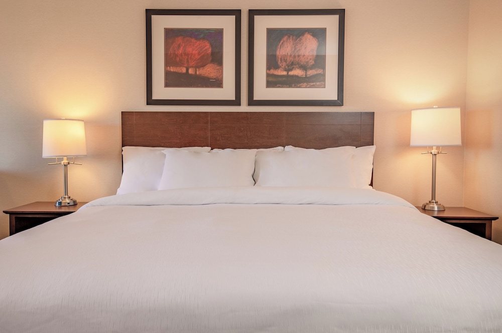 Standard Single Room photo 3
