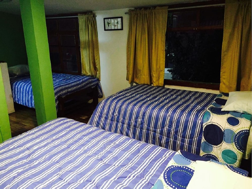 Shared Dormitory, Mixed Dorm (4 beds) photo 3