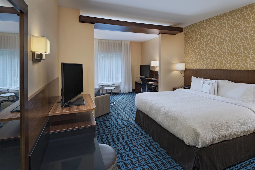 Suite, 1 King Bed with Sofa bed photo 1