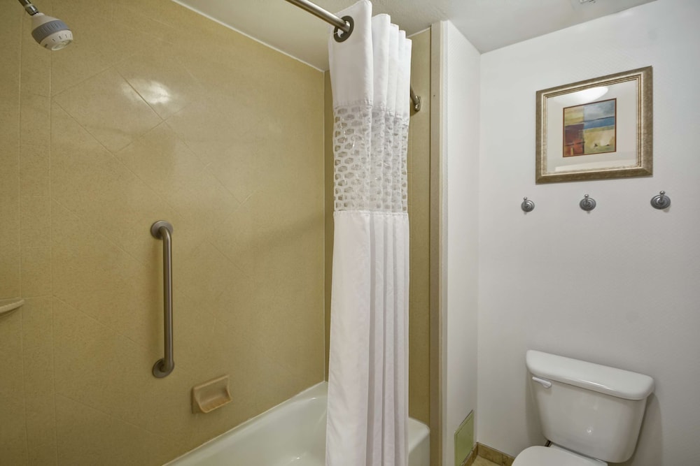 King, Room, Accessible, Non Smoking - Photo 4