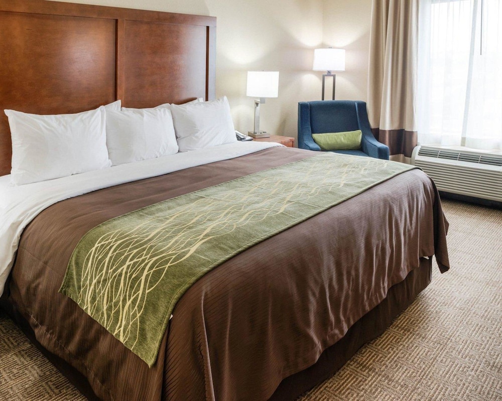 Standard King Room, Hearing Accessible, Non-Smoking